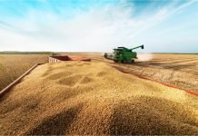 IBGE estima safra de grãos recorde em 2026: 354,5 milhões de toneladas