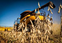 Aprosoja MT celebra saída de tradings agrícolas da Moratória da Soja