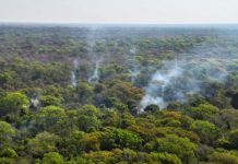 Divulgado planejamento para enfrentar incêndios em 2026