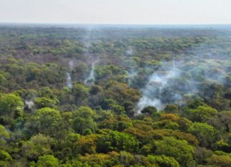 Divulgado planejamento para enfrentar incêndios em 2026