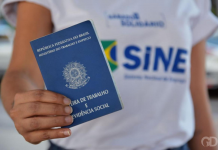 Sinop inicia semana com 336 vagas de emprego pelo Sine