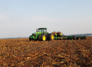 Ritmo de plantio de soja de MT segue acima da média e favorece janela da 2ª safra