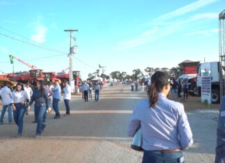 Tecnoalta vai para o 3° dia com negócios fechados em 90% dos estandes