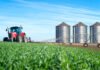 Sinop é 2º maior exportador de Mato Grosso e 25º do Brasil