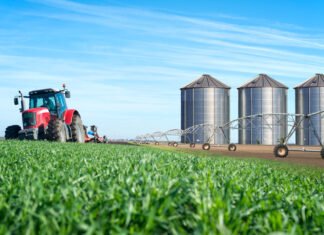 Sinop é 2º maior exportador de Mato Grosso e 25º do Brasil