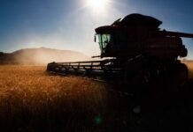 Recorde de grãos em 2025/26 pressiona demanda por temporários na “safra de verão”