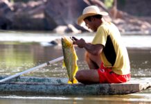 Período de defeso da piracema termina neste sábado (31)
