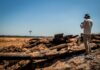 Desmatamento na Amazônia cai 36,87% no último ano