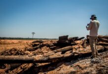 Desmatamento na Amazônia cai 36,87% no último ano