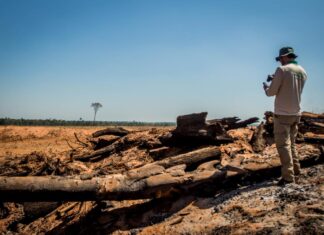 Desmatamento na Amazônia cai 36,87% no último ano