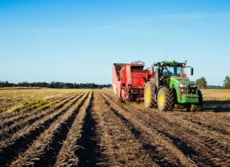 Agropecuária ajudou oito estados a crescerem mais que o Brasil em 2023