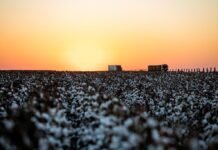 Crédito rural financiou R$ 92,4 bi em áreas com alertas ambientais