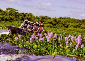 Maioria dos turistas estrangeiros que visitaram MT são americanos e franceses