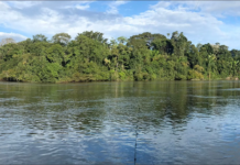 Piracema será entre 1º de outubro de 2026 e 31 de janeiro de 2027 em MT