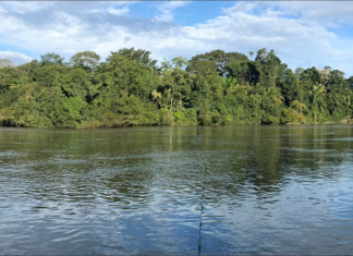 Piracema será entre 1º de outubro de 2026 e 31 de janeiro de 2027 em MT