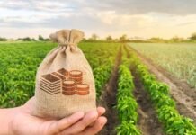 Seguro rural: novas regras ampliam cobertura e proteção ao produtor