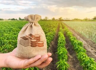 Seguro rural: novas regras ampliam cobertura e proteção ao produtor