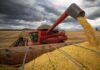 Brasil estima colheita de 354,8 milhões de toneladas de grãos