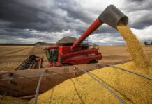 Brasil estima colheita de 354,8 milhões de toneladas de grãos