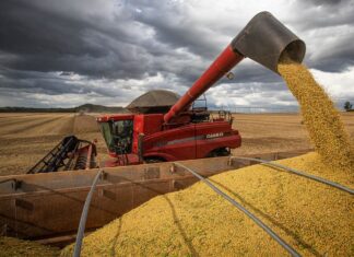 Brasil estima colheita de 354,8 milhões de toneladas de grãos