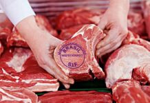 Exportações de carne bovina de MT crescem 74% no 1º trimestre de 2026