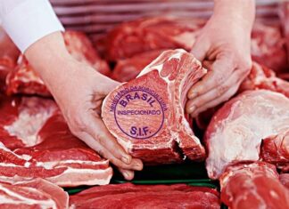 Exportações de carne bovina de MT crescem 74% no 1º trimestre de 2026