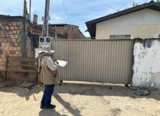 Sinop realiza mutirão e identifica focos de dengue mesmo durante a seca