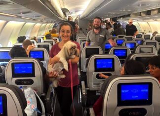 Segunda aeronave com brasileiros em Israel está a caminho do Brasil