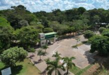 Parque Florestal de Sinop integra Rota dos Primatas de Mato Grosso