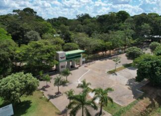 Parque Florestal de Sinop integra Rota dos Primatas de Mato Grosso