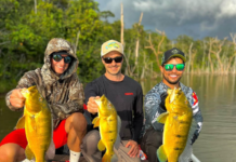 Governo de MT capacita prefeitos e condutores para fortalecer o turismo de pesca