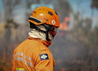 Bombeiros de MT abre processo seletivo para soldados temporários
