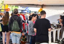 Liquida Sinop celebra 10 anos com expectativa de recordes