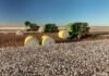 Conab estima produção de 361,7 milhões de toneladas de grãos na safra 2025/26