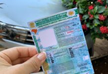 Toxicológico para primeira habilitação começa a valer a partir de 1º de junho