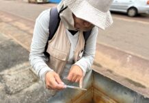 Saúde alerta para novo comportamento reprodutivo do mosquito da dengue