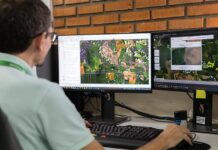 Inpe aponta queda de 50% no alerta de desmatamento em MT