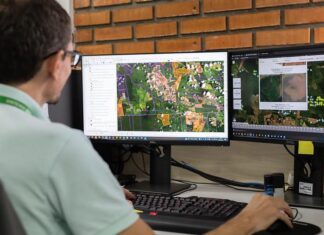 Inpe aponta queda de 50% no alerta de desmatamento em MT