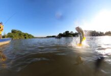 Sema emitiu 9.884 carteiras de pesca amadora em 2025