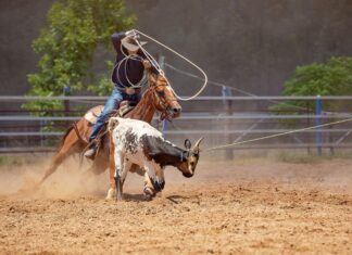 Vaquejada agita o fim de semana em Sorriso com R$ 57 mil em premiação