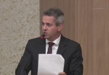 Câmara aprova projeto que reconhece a Arara-canindé como ave símbolo de Sinop