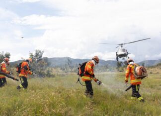 Corpo de Bombeiros combate 18 incêndios florestais neste domingo (5)