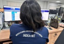 Atualização de Estoque de Rebanhos começa dia 1º de novembro