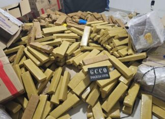 Apreensões de drogas em 2025 geram prejuízo de R$ 574 milhões às facções
