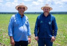 MT Clima e Mercado destaca impactos da falta de chuva na Região Norte
