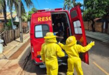 Bombeiros socorrem homem que foi atacado por abelhas em Sinop