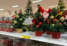 Procon-MT orienta cuidados com a compra de enfeites de Natal