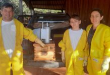 Incentivo da Prefeitura de Sinop coloca bebida sustentável na vitrine da COP30