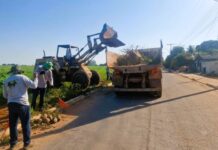 Vera inicia força-tarefa de limpeza e combate à dengue