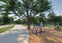 Entorno do Parque Florestal terá calçada ecológica